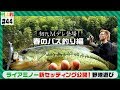 【村上的】#044 早春の野池遊び!ライアミノー新セッティング公開【バス釣り】