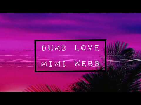 Mimi Webb  -  Dumb Love (Lyrics)