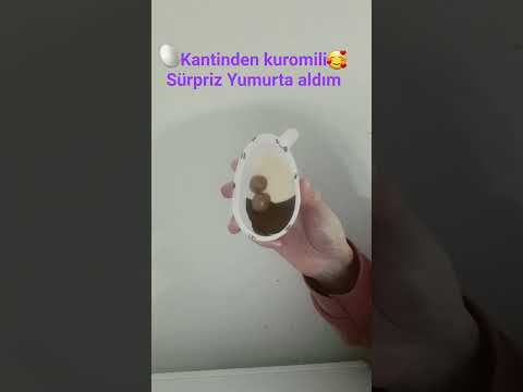 Toplam 40TL Tuttu Cute