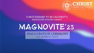 MAGNOVITE 2023 screenshot 2