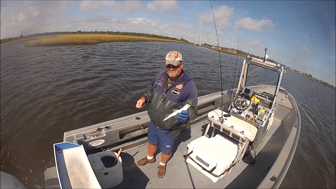 Jacksonville Fishing fishing report with Capt Dave YouTube