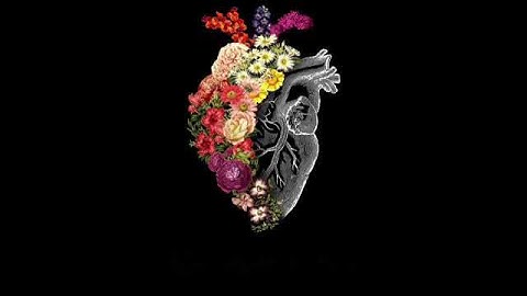 علاج الاكتئاب💫🌸قران كريم بصوت هزاع البلوشى|حالات للواتس اب