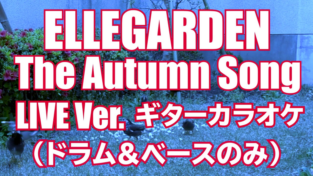 ギター カラオケ Ellegarden The Autumn Song Live Ver Feat ムクドリdance Youtube ギター カラオケ Ellegarden The Autumn Song Live Ver Feat ムクドリdance Youtube