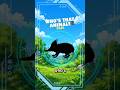 LOWLAND STREAKED TENREC #030 - WILD DEX