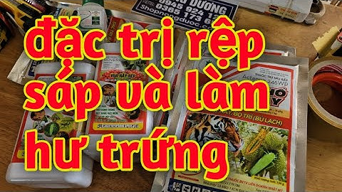 thuốc đặc trị rệp sáp và làm hư trứng cho cây cà phê. Hoàng Dương 35