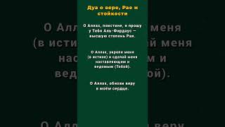 Дуа о вере, Рае и стойкости. #дуа #ислам #вера #иман