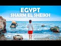 Sharm El Sheikh, Hotel Sunrise Diamond Beach Resort a dovolená v Egyptě - Cestování s dětmi