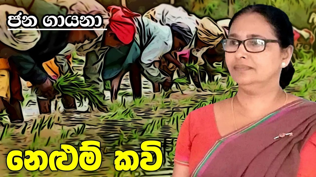 නෙළුම් කවි Nelum Kavi Youtube