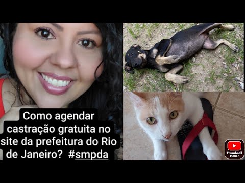 Como conseguir castração gratuita no Rio de Janeiro? #smpda #castração #pets #gateiras #gatos #cães