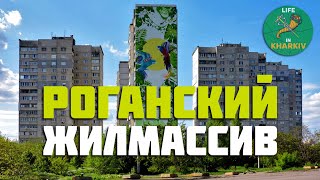 Харьков. Юго-восточные окраины города. Роганский жилмассив. Горизонт. Солнечный. Восточный.