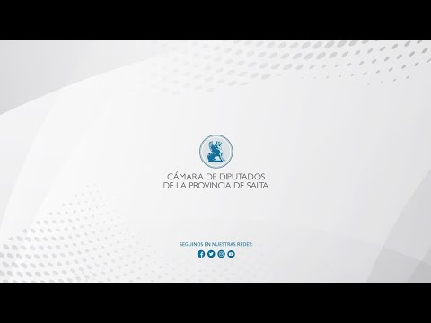 14° SESIÓN ORDINARIA DE LA CÁMARA DE DIPUTADOS  [EN VIVO].