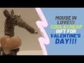 Diy Valentine Day Craft Ideas!!!Handmade Valentine&#39;s Day Gift Making Ideas!!![Mouse in Love!!!]