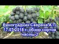 Виноградник Саврана А П  17 07 2018 часть 2