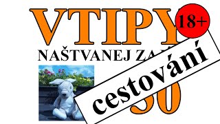 Vtipy 30 - vtipy o cestování - Naštvanej zajíc