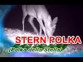 Stern polka