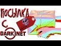 ПОСЫЛКА С DARK NET ► Страшилки от iGraMan