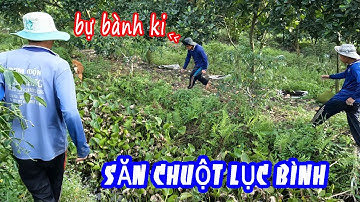 BẮT CHUỘT Ở BẠ MƯƠNG LỤC BÌNH LÀM MÓN NHÂM NHI MỪNG ĐƯỢC ĐI LẠI. T507
