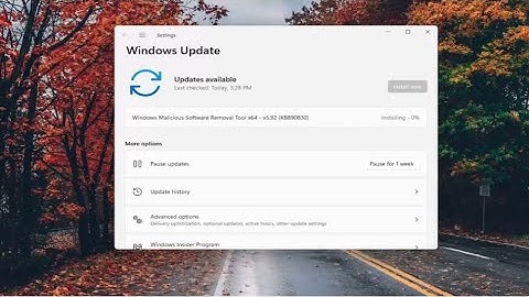 How To Clear Windows Update Cache and Fix Windows 11 Updates [Tutorial]