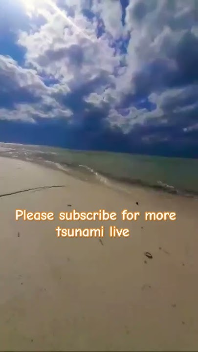 Japan live camera tsunami today