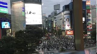 Shibuya Crossing Time Lapse - World's Busiest Intersection
