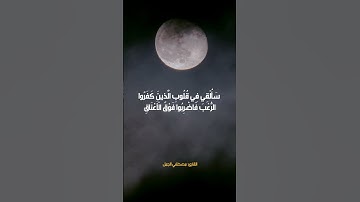 قراءة ما تيسر من سوره الانفال تراويح 2023