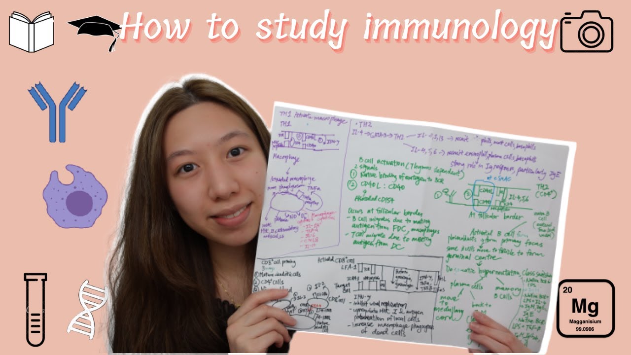 How To Study Immunology Effectively | Magganisium - Youtube