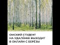 Омский студент на удалёнке выходит в онлайн с берёзы #Shorts