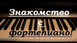 Знакомство с фортепиано. Уроки для чайников Знакомство с фортепиано. Уроки для чайников