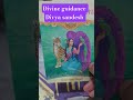 Daily divine guidance!  #divyasandesh # #divinemessage #messageoftheday #tarotreading