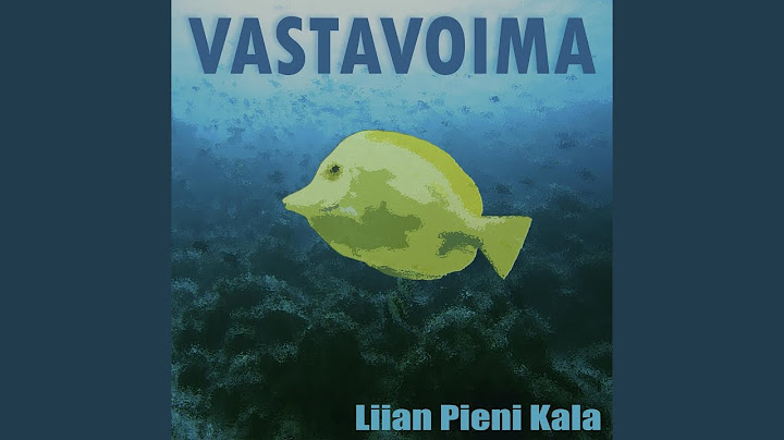 Äly Vai Viisaus