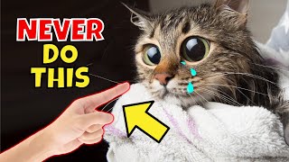 21 Things You Should NEVER Do to Your Cat (#3 is )