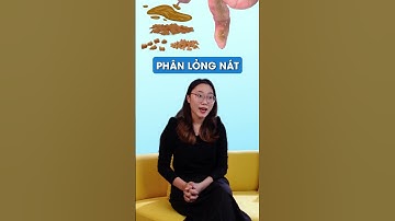 Tại sao Hội chứng ruột kích thích ăn vào là đi ngoài, phân không thành khuôn?
