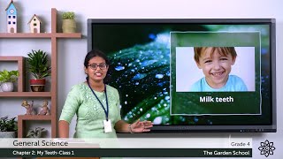 Grade 4 General Science Chapter 2 Class 1 Types and structure of a teeth