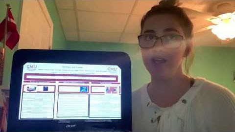 Induction loop systems