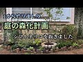 【庭の森化計画】シマトネリコを抜いて植栽をやり直しました・ガーデニングdiy