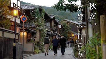 秋だ、京都へ行こう。この秋に巡った京都のお店・スポットを紹介