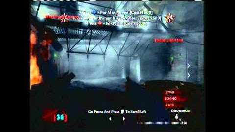 Quarantine Zombies ISO MOD COD WAW