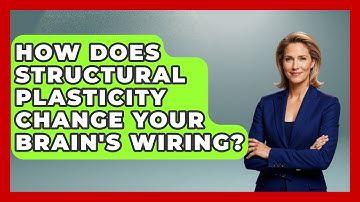 How Does Structural Plasticity Change Your Brain