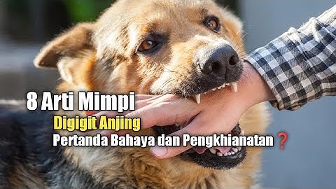 8 Arti Mimpi Digigit Anjing, Pertanda Bahaya dan Pengkhianatan?