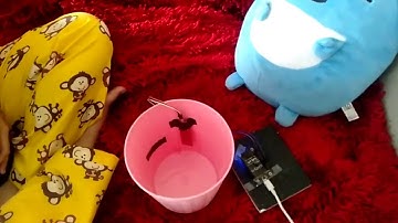 01. Adelia Puspita - monitoring banjir menggunakan aplikasi blynk dan Node mcu