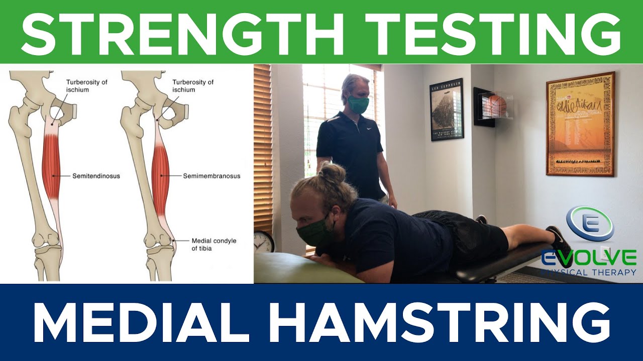 Hamstring Length Test at Brayden Woodd blog