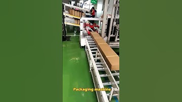 Factory Automatic  Belt binding machine packaging machine box packaging machine #productionline
