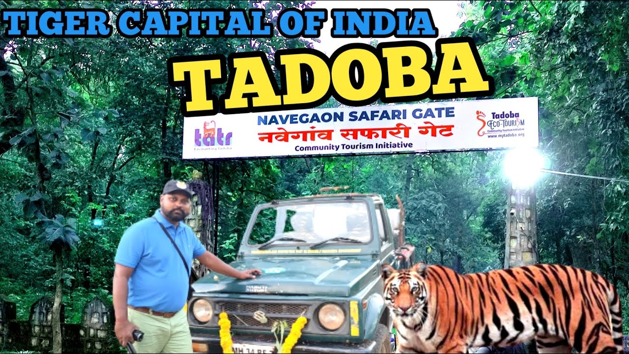 navegaon gate tadoba safari booking