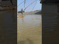 castnet fishing in the river 😍#castnetfishing #villagelife #viralvideo #bigfish