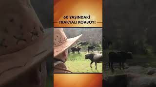 60 Yaşındaki Kovboy