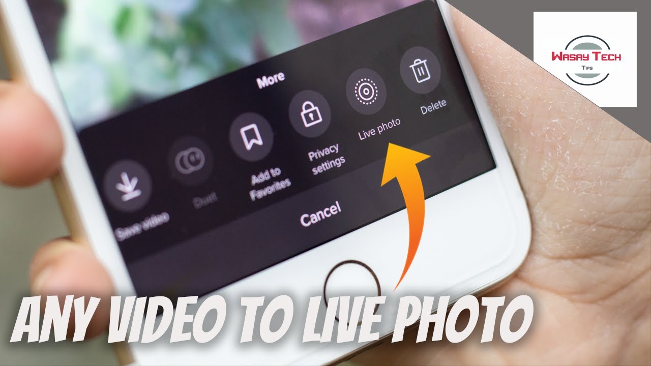 How to convert any Video into a live photo of your iPhone - YouTube