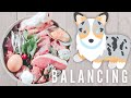 NRC Guidelines - Is Your Dog's Raw Meal Balanced?