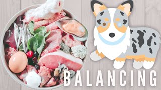 NRC Guidelines - Is Your Dog's Raw Meal Balanced?