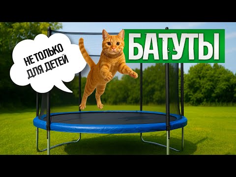 ТОП-5: Лучшие БАТУТЫ до 30 000 рублей (2025) || Рейтинг батутов || Как выбрать батут