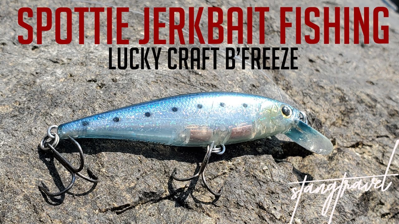 SPOTTED BAY BASS FISHING – Lucky Craft B'Freeze Jerkbait